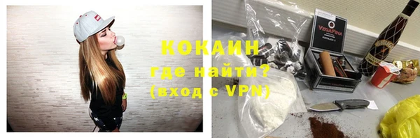 тгк Пестово